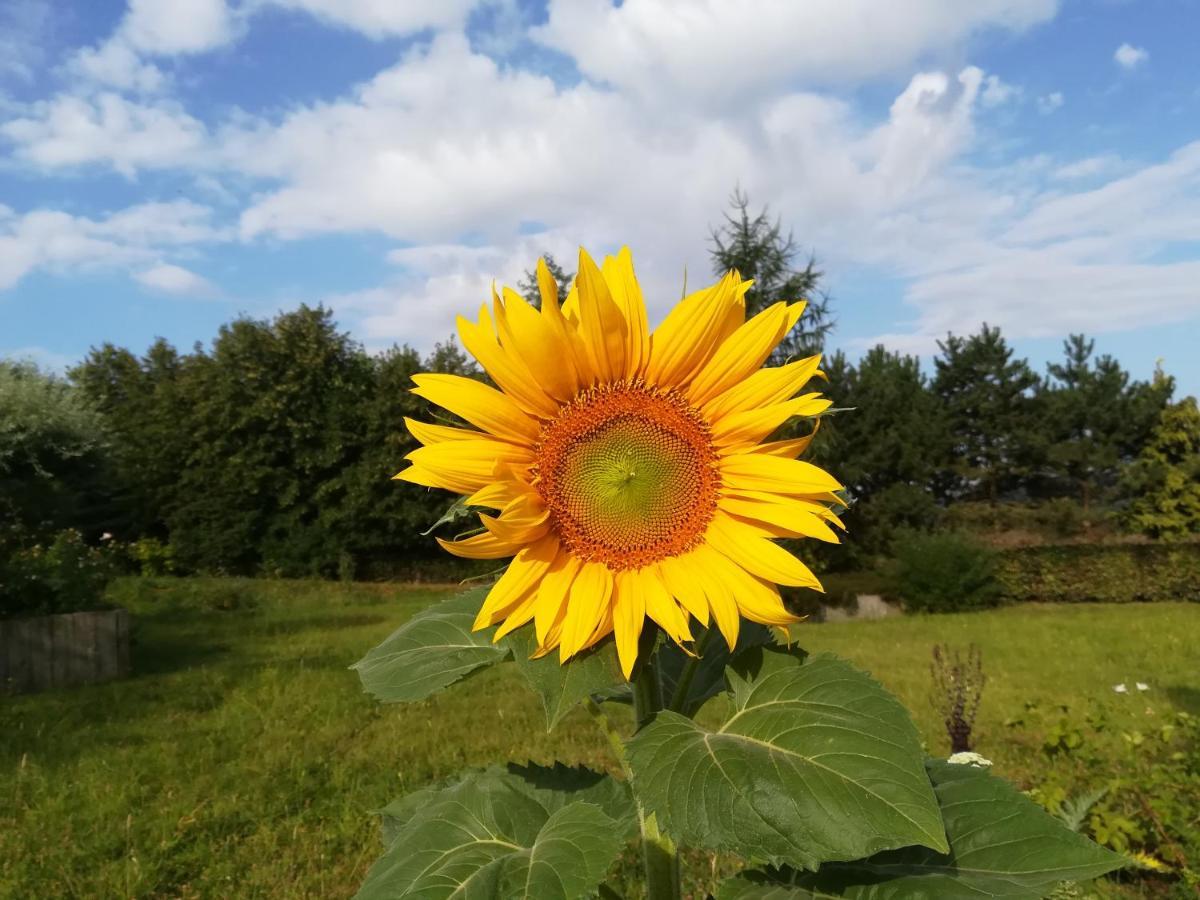 Carpe Diem Mont  Dış mekan fotoğraf